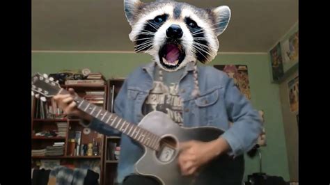 rocky racoon youtube